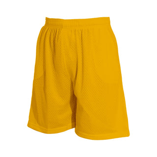 Hill / Vision Sportswear 2 Pockets Mesh Shorts